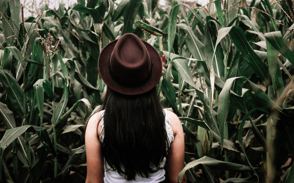 Why Being Stressed Makes Us Crave Junk Food